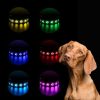 LED dog collar, adjustable, USB, rechargeable, waterproof, 50cm, M, with paws, pink