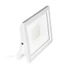 EGLO , 64865 , FILETTI , reflektor , 4000 K , LED , 70W , IP65