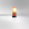 OSRAM LEDguardian,   Warning and safety lights, 6.0 V, 2000 K6000