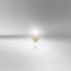 OSRAM ORIGINAL - PLASTIC MF BASE, - Auxiliary lamp, 2452MFX6, 12.0 V