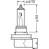 NEOLUX , C5W , N239, 12.0 V