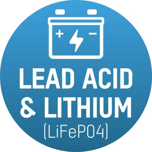 Ansmann 8-stage vehicle charger for 6V 12V lead-acid gel batteries for LiFePO4 batteries