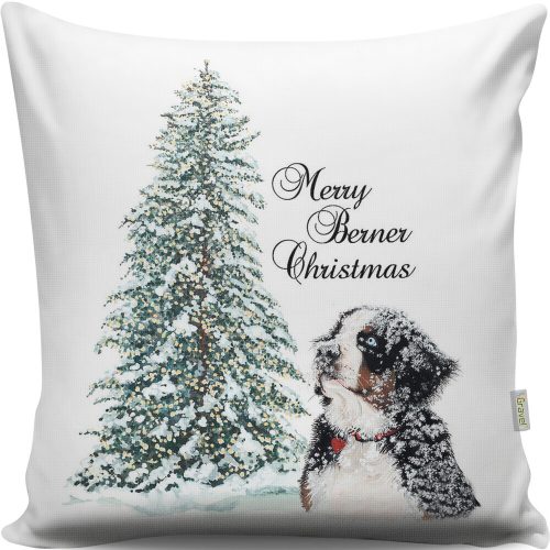 Soft & Stylish Cushion (43 x 43 cm), 50% Cotton/50% Polyester, Washable & Ironable, Concealed Zip, Silicone Filling | Perfect for Home Decor & Comfort