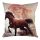 Soft & Stylish Cushion (43 x 43 cm), 50% Cotton/50% Polyester, Washable & Ironable, Concealed Zip, Silicone Filling | Perfect for Home Decor & Comfort
