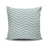 Soft & Stylish Cushion (43 x 43 cm), 50% Cotton/50% Polyester, Machine Washable, Ironable, Silicone Filling, Concealed Zip | Perfect for Home Decor