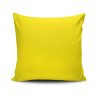 Soft & Stylish Cushion (43 x 43 cm), 50% Cotton/50% Polyester, Machine Washable, Ironable, Silicone Filling, Concealed Zip | Perfect for Home Decor