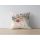 Stylish Cushion Cover, 43 x 43 cm, 50% Polyester & 50% Cotton | Digital Print, Machine Washable at 30°C | Perfect for Home Decor & Comfort