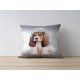 Stylish Cushion Cover, 43 x 43 cm, 50% Polyester & 50% Cotton | Digital Print, Machine Washable at 30°C | Perfect for Home Decor & Comfort