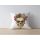 Stylish Cushion Cover, 43 x 43 cm, 50% Polyester & 50% Cotton | Digital Print, Machine Washable at 30°C | Perfect for Home Decor & Comfort