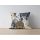 Stylish Cushion Cover, 43 x 43 cm, 50% Polyester & 50% Cotton | Digital Print, Machine Washable at 30°C | Perfect for Home Decor & Comfort