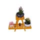 Elegant Black Wooden Jardiniere, Special Design, 50 x 70 x 24 cm | Durable Wooden Body | Perfect for Indoor & Outdoor Plant Display