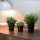 Stylish Black Metal Jardiniere, 30 x 12.5 x 11 cm | 100% Durable Metal | Perfect for Indoor Plants & Home Decor | Elegant & Modern Design