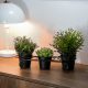 Stylish Black Metal Jardiniere, 30 x 12.5 x 11 cm | 100% Durable Metal | Perfect for Indoor Plants & Home Decor | Elegant & Modern Design