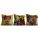 Stylish Cushion Cover Set (3 Pieces), 43 x 43 cm | 50% Cotton & 50% Polyester, Machine Washable at 30°C, Ironable, Digital Print | Perfect for Home Decor