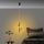Elegant Black Chandelier, Metal Body, 16 cm Width, Adjustable Height 50-100 cm | SMD LED 11W 3000K | Stylish Lighting for Modern Home Décor, IP20 Rated, Perfect for Living Room & Dining Areas