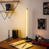 Elegant Black Table Lamp with Metal Body, 51 cm Height, 18 cm Base Plate | 12W LED Socket, 3000K Warm Light, 80 CRI | Perfect for Modern Home Decor, Living Room & Bedroom Lighting