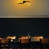 Elegant Black Chandelier, Metal Body, 25 cm Width x 51 cm Height x 5 cm Depth | SMD LED 16W 3000K | Stylish Lighting for Modern Home Décor, IP20 Rated, Perfect for Living Room & Dining Areas
