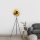 Modern Floor Lamp with Metal Body & Cap, Black and Gold, 62 x 45 x 160 cm | E27 Socket, Max 40W, 200 cm Cable | Stylish Lighting for Home & Office, Elegant Novelty Design, IP20 Rated
