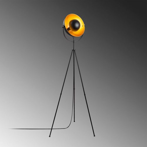 Modern floor lamp with metal housing and cap, black and gold, 62 x 45 x 160 cm | E27 Socket, Max 40W, 200 cm Cable | Stylish lighting for home and office use, elegant, innovative design, IP20 rating