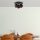 Modern Black Chandelier, Metal Body with Glass Cap, 37 x 44 x 25 cm | 3 x E14 Socket, Max 40W | Stylish Industrial & Scandinavian Design for Home & Office | Bulb Not Included, IP20 Rated