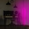 Modern Purple Floor Lamp, 120 cm Height, Aluminium Body, 600 Lumen, 12W, Electrostatic Coated, Type C Socket, Perfect for Home & Office Decor