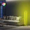 Modern Floor Lamp with Aluminium Body, 120 cm Height, Black Electrostatic Coating, 120 cm LED Strip, Type C Socket, A+ Energy Efficient | Stylish & Functional Lighting