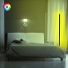 Modern Floor Lamp with Aluminium Body, 120 cm Height, Black Electrostatic Coating, 120 cm LED Strip, Type C Socket, A+ Energy Efficient | Stylish & Functional Lighting