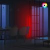 Modern Floor Lamp with Aluminium Body, 120 cm Height, Black Electrostatic Coating, 120 cm LED Strip, Type C Socket, A+ Energy Efficient | Stylish & Functional Lighting