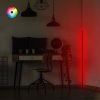 Modern Floor Lamp with Aluminium Body, 120 cm Height, Black Electrostatic Coating, 120 cm LED Strip, Type C Socket, A+ Energy Efficient | Stylish & Functional Lighting