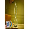 Modern Floor Lamp with Remote, 100% Aluminium, 125 cm Height, 16 Colors & 4 Modes, A+ Energy Rated, 250 cm Cord, Stylish & Functional Lighting Solution