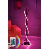 Modern Floor Lamp with Remote, 100% Aluminium, 125 cm Height, 16 Colors & 4 Modes, A+ Energy Rated, 250 cm Cord, Stylish & Functional Lighting Solution