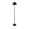 Stylish Black Floor Lamp, Metal Body, 115 cm Height, 20 cm Diameter | 80 CRI, LED 5W, 8-Hour Battery Life | Perfect for Modern Living Spaces