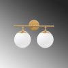 Modern Shiny Gold Wall Lamp, Metal Body & Glass Cap, 36 x 24 x 16 cm | IP20, E14 Socket (Max 40W) | Elegant Scandinavian Design for Home Décor