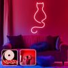 Flexible Red Neon LED Wall Lighting, 200 cm, IP67 Waterproof, DC 12V, 350 cm Cord, 36W Max, Includes Double-Sided Tape | Perfect for Home Decor & Parties