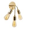 Elegant Gold Wall Lamp, Metal Body, 22 cm Diameter x 28 cm Height | 3 x E27 Max 40W, IP20 | Modern Glam Design for Stylish Home Decor
