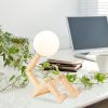 Elegant Wooden Table Lamp, 15 x 17 x 56 cm, Natural Finish | E27 Socket, Max 40W, 200 cm Cable | Perfect for Modern Rustic & Lodge Decor