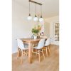 Opviq, 846STL5171, Elegant Metal Chandelier with Glass Cap, 15 cm Diameter, 55 cm Length, Adjustable Height, E27 Socket, White & Gold Finish | Perfect for Modern Spaces