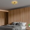 Elegant Gold Chandelier, 36 x 36 x 12 cm | Metal Body, Non-Adjustable Height, E27 Socket (Max 40W) | Perfect for Modern Living Spaces, IP20 Rated