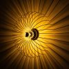 Elegant Gold Wall Lamp, 56 x 16 x 56 cm | Metal Body, Non-Adjustable Height, E27 Socket (Max 40W) | Stylish Lighting for Modern Interiors, IP20 Rated