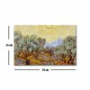 Van Gogh Olive Trees 1889 Decorative Canvas Painting, 45 x 70 cm, 100% Suede Canvas, 100% Wooden Frame (3 cm Thick) | Elegant Art for Home Decor