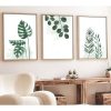 Elegant Decorative Framed MDF Paintings (3 Pieces), 30 x 40 cm | 100% MDF & Solid Wood Frame, 2.5 cm Thick | Perfect for Home Decor & Art Lovers