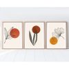 Elegant Decorative Framed MDF Paintings (3 Pieces), 50 x 70 cm | 100% MDF & Solid Wood Frame, 2.5 cm Thick | Perfect for Home Decor & Art Lovers