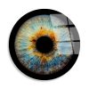 Elegant Decorative Tempered Glass Painting, 60 cm Diameter | 100% Shatter-Resistant Glass, 4 mm Thick | High-Resolution UV Print, Easy to Clean, Vibrant Colors