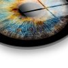 Elegant Decorative Tempered Glass Painting, 60 cm Diameter | 100% Shatter-Resistant Glass, 4 mm Thick | High-Resolution UV Print, Easy to Clean, Vibrant Colors