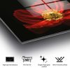 Stunning Tempered Glass Painting - Blooming Red Poppy Flower, 70 x 100 cm | 100% Tempered Glass (4 mm) | Elegant Wall Art for Home & Office Decor