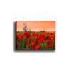 Stunning Decorative Canvas Painting, 50 x 70 cm | 100% Canvas, 100% Wooden Frame (3 cm Thick) | Perfect for Home Decor & Art Lovers
