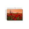 Stunning Decorative Canvas Painting, 50 x 70 cm | 100% Canvas, 100% Wooden Frame (3 cm Thick) | Perfect for Home Decor & Art Lovers