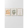 Elegant Decorative Framed Painting Set (3 Pieces), Solid Wood Frame, 33 x 48 cm | 100% MDF, Digital Printing | Perfect for Home Decor & Art Lovers