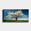 Stunning Decorative Canvas Painting, 50 x 120 cm | 100% Canvas, 100% Wooden Frame (3 cm Thick) | Perfect for Home Decor & Art Lovers