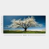 Stunning Decorative Canvas Painting, 50 x 120 cm | 100% Canvas, 100% Wooden Frame (3 cm Thick) | Perfect for Home Decor & Art Lovers